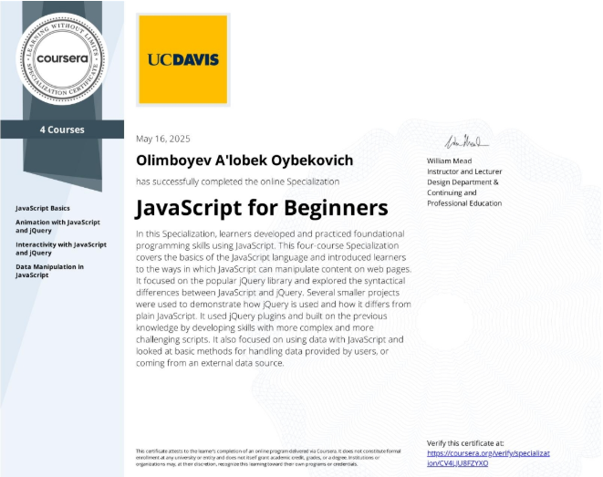 JavaScript for Beginners Certificate
